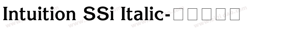 Intuition SSi Italic字体转换